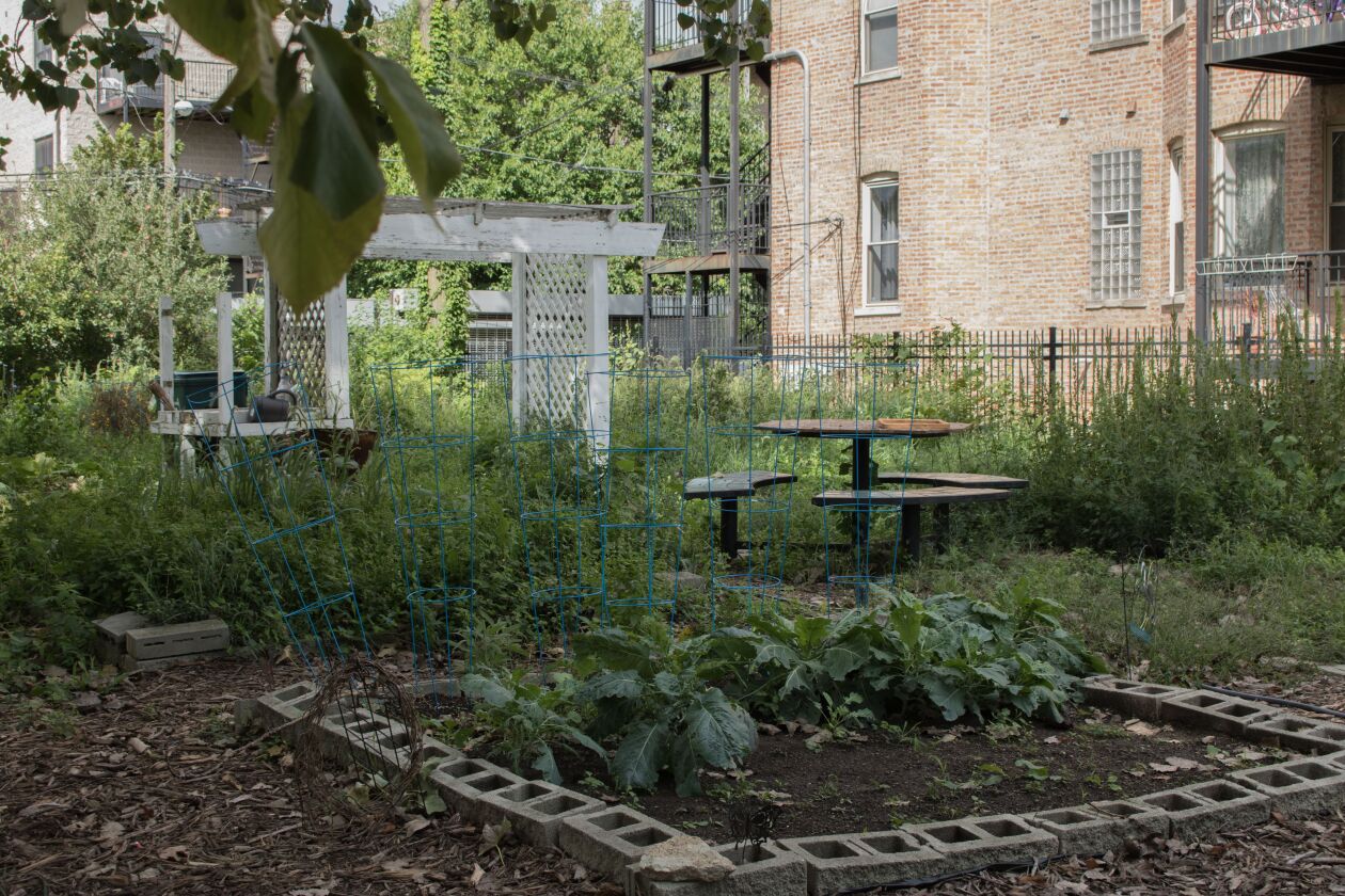 The Ellis View Community Garden in Woodlawn. | Manny Ramos / Sun-Times